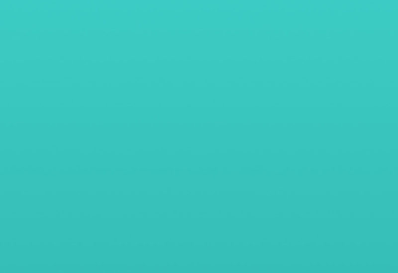 portfolio placeholder